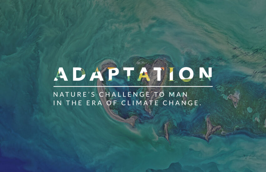 adaptation progetto giornalistico